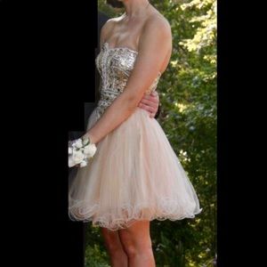 Terani Corture prom dress